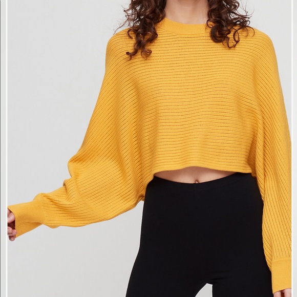 Aritzia Sweaters - Aritzia Wilfred Free Crop sweater